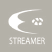 Устройство Flash streamer Flash Streamer